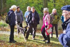 02-herbstwanderung
